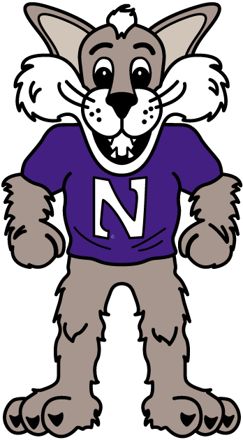 Northwestern Wildcats 1998-Pres Mascot Logo t shirts DIY iron ons